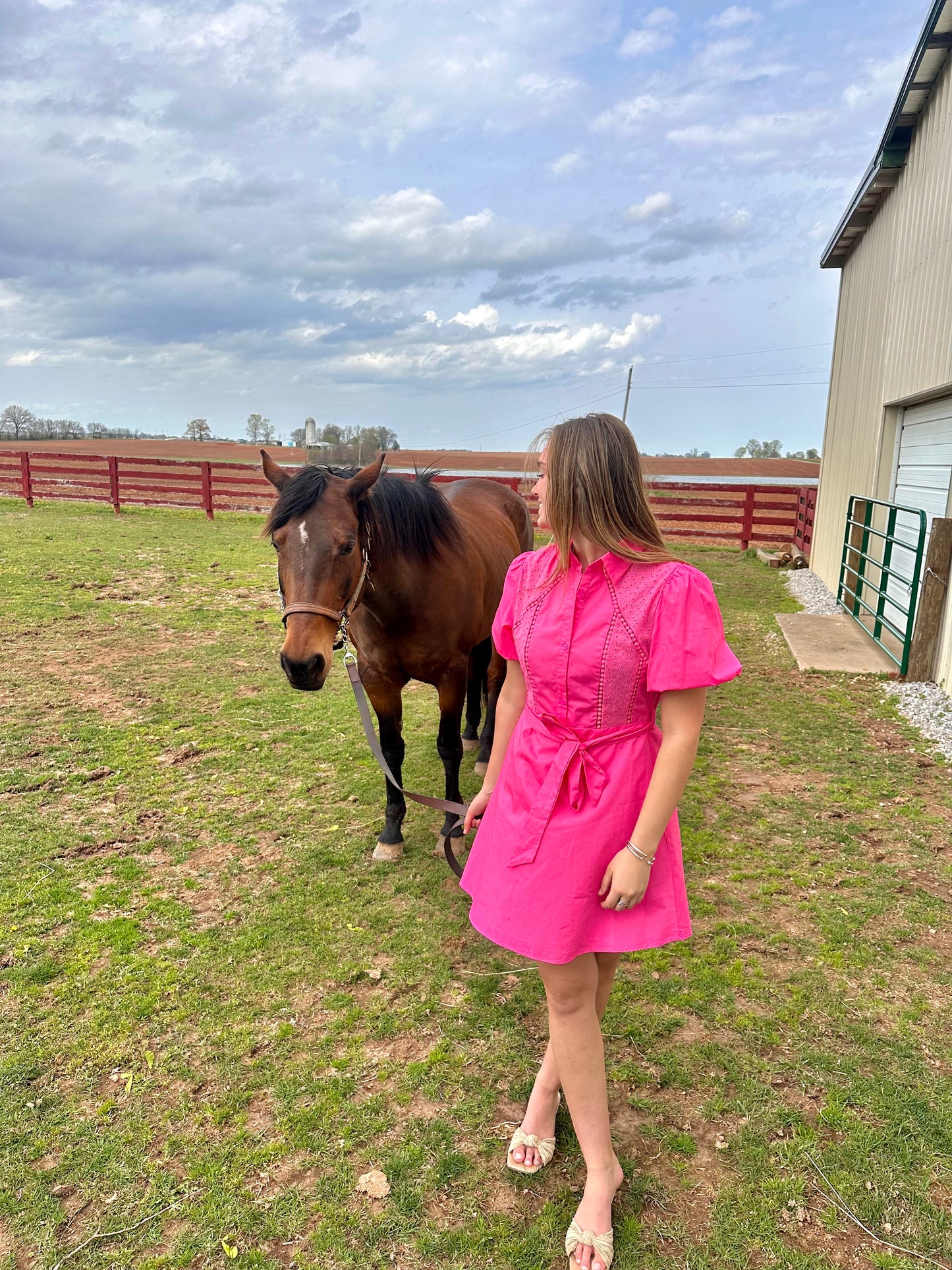 Pink Bubble Sleeve Mini Dress